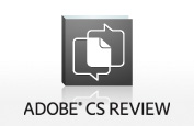 Streamlined reviews