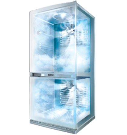 Twin Cooling System