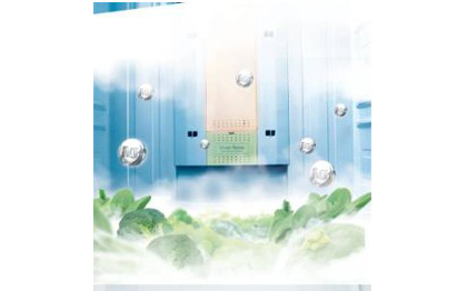 Silver Nano Health System 