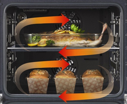 Twin Convection technology