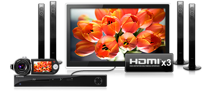  HDMI x 3 