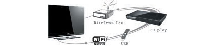  Wireless LAN adapter (Optional Accessory) 