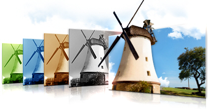 Feel the Effects of Color