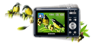  Shake, rattle or stroll 