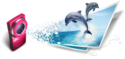  High resolution photo 