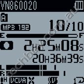 Character Size (small)