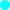 Cyan