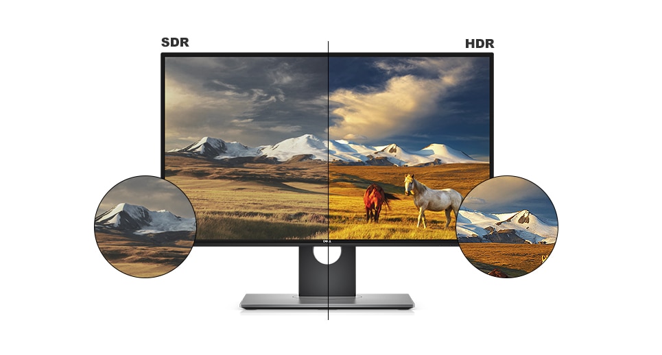 Dell U2518D Monitor - Lifelike visuals