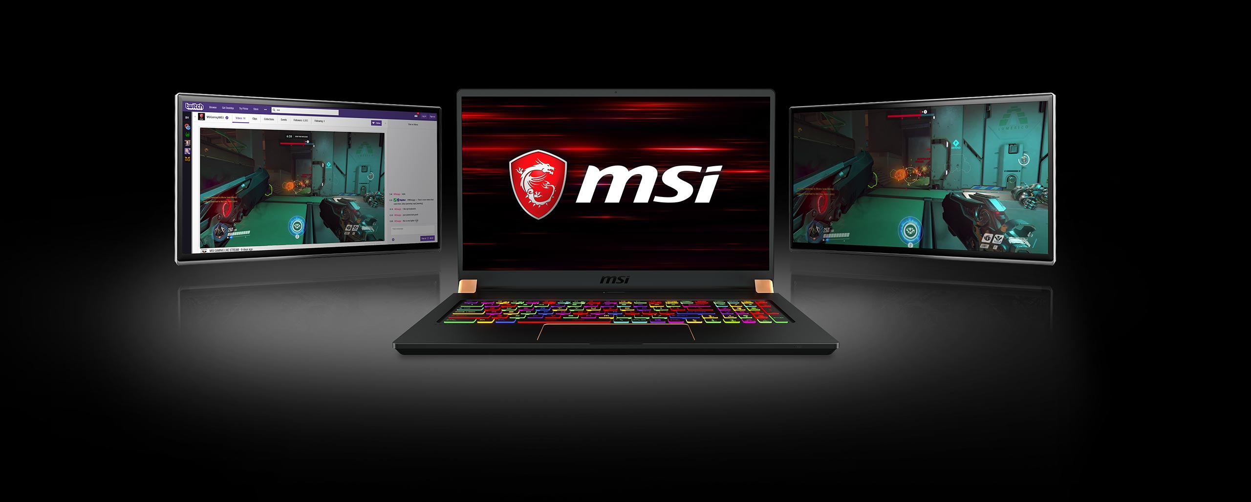 msi ips featuer