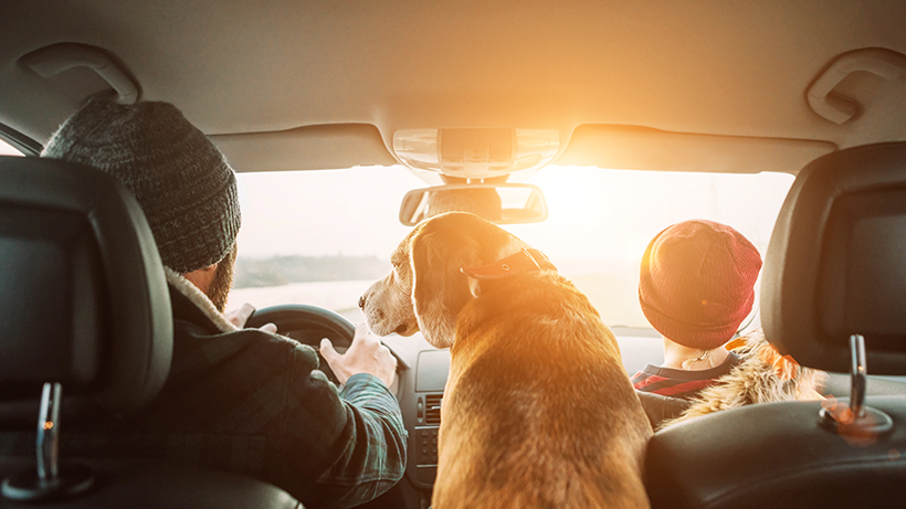 Family taking a roadtrip