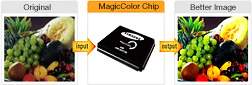 MagiColor