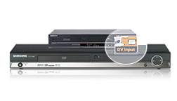DV input