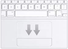 Trackpad.