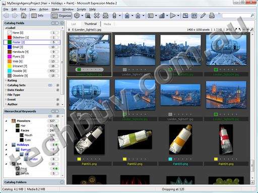 Organize Quickly