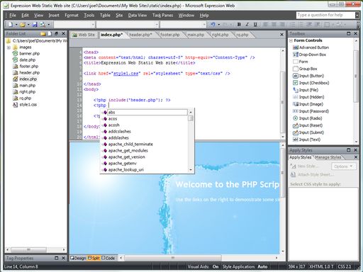 Harness the power of ASP.NET and PHP with Expression Web 2