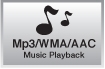 Ultimate Versatility with Multi-format Playback