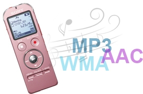Ultimate Versatility with Multi-format Playback
