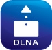 DLNA HDMI
