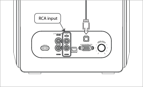 RCA input