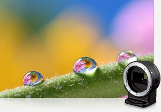 Photo of water drops on a plant stem and the FT-1 Mount Adapter