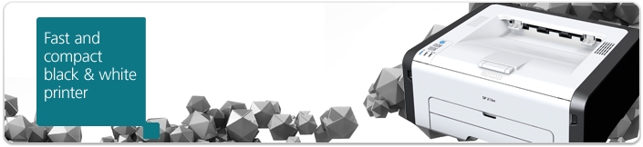 SP-213NW-Banner.png