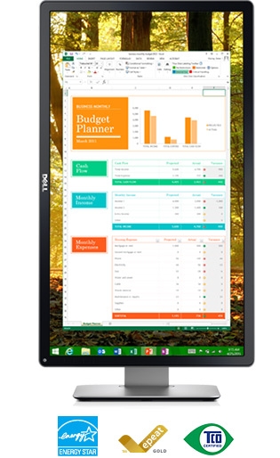 Dell 24 Monitor - P2416D - Designed for peace of mind