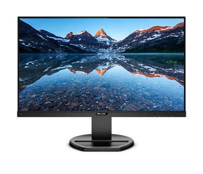 Philips 243B9 24\