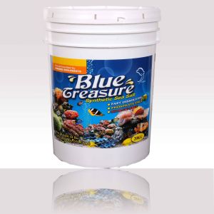 blue treasure reef sea