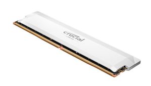 IMG 1 of 1