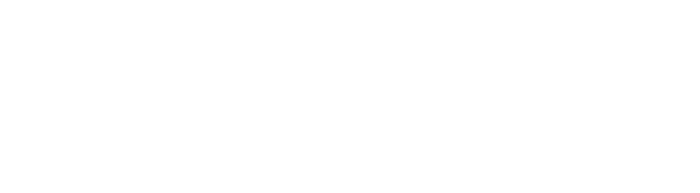 SE Logo