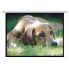 Brateck Projector Electric Screen 135" (3Mx1.68M) Electric Screen (16:9 ratio) (LS)