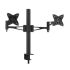Brateck Dual Monitor Mount with Arm & Desk Clamp - Black VESA 75/100mm Up to 27``