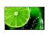 NEC E498 LCD Direct-lit 4K UHD Display with Integrated ATSC/NTSC Tuner - Black  49", IPS, 16:09, 350cd/m2, Landscape, 3840x2160, LED, 8ms, VGA, HDMI