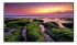 Samsung QBB 75" Premium Commercial Display - 75 " UHD, 350NITS, HDMI(2), LAN, WIFI, SPKR, 16/7 USAGE, 3YR