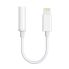 Choetech AUX005 Lightning to 3.5mm Headphone Adapter