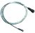 Edimax EA-CK1M - Indoor Low Loss Antenna Cable - 1MRP-SMA Jumper