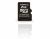 Toshiba 2GB Micro SD Card - 4MB/s, 10MB/s - Black