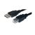 Wicked_Wired USB2.0 Type A to Type B - Data Cable - 3M