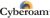 Cyberoam Cyberoam Firewall an