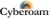 Cyberoam Cyberoam Firewall an