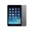 Apple iPad Mini - Black16GB, Wi-Fi Version