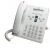 Cisco CP-WMK-AW-6900= Telephone Locking Wallmount Kit - For Cisco 6921 & 6941 Series - Arctic White