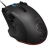 Roccat
