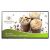 BenQ Purchase BenQ on the