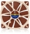 Noctua Good prices for Noct