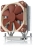 Noctua