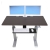 Ergotron WorkFit-DL 60 Sit-Stand Desk - Wenge