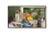 LG The Best Online for