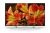 Sony Home Entertainment -