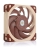 Noctua Good prices for Noct